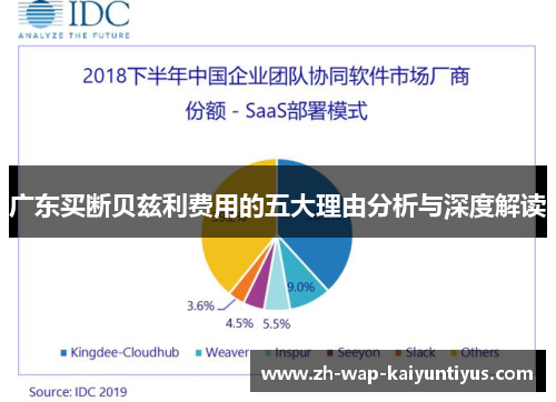 广东买断贝兹利费用的五大理由分析与深度解读