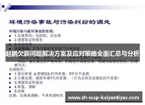 赵鹏欠薪问题解决方案及应对策略全面汇总与分析