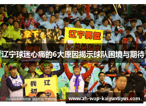 辽宁球迷心痛的6大原因揭示球队困境与期待
