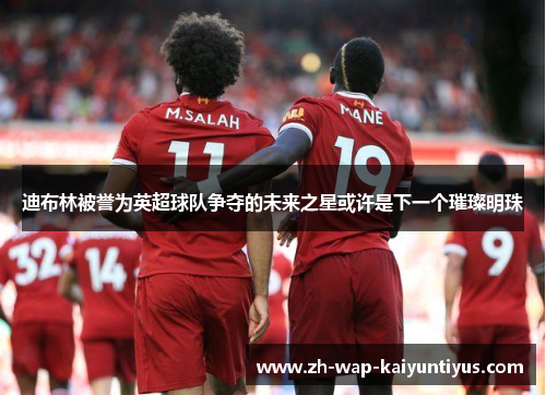 迪布林被誉为英超球队争夺的未来之星或许是下一个璀璨明珠